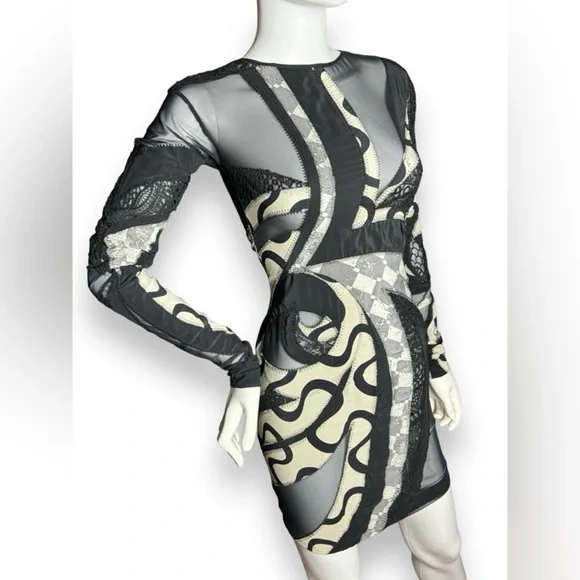 🔥Emilio Pucci 2009 Runway Look 19 Silk & Mesh Abstract Dress - Picture 4 of 12
